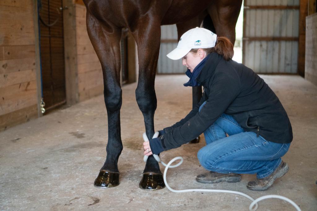Rose Napravnik applying PEMF therapy to her horse's front leg using the MagnaWavePEMF Butterfly Loop attachment