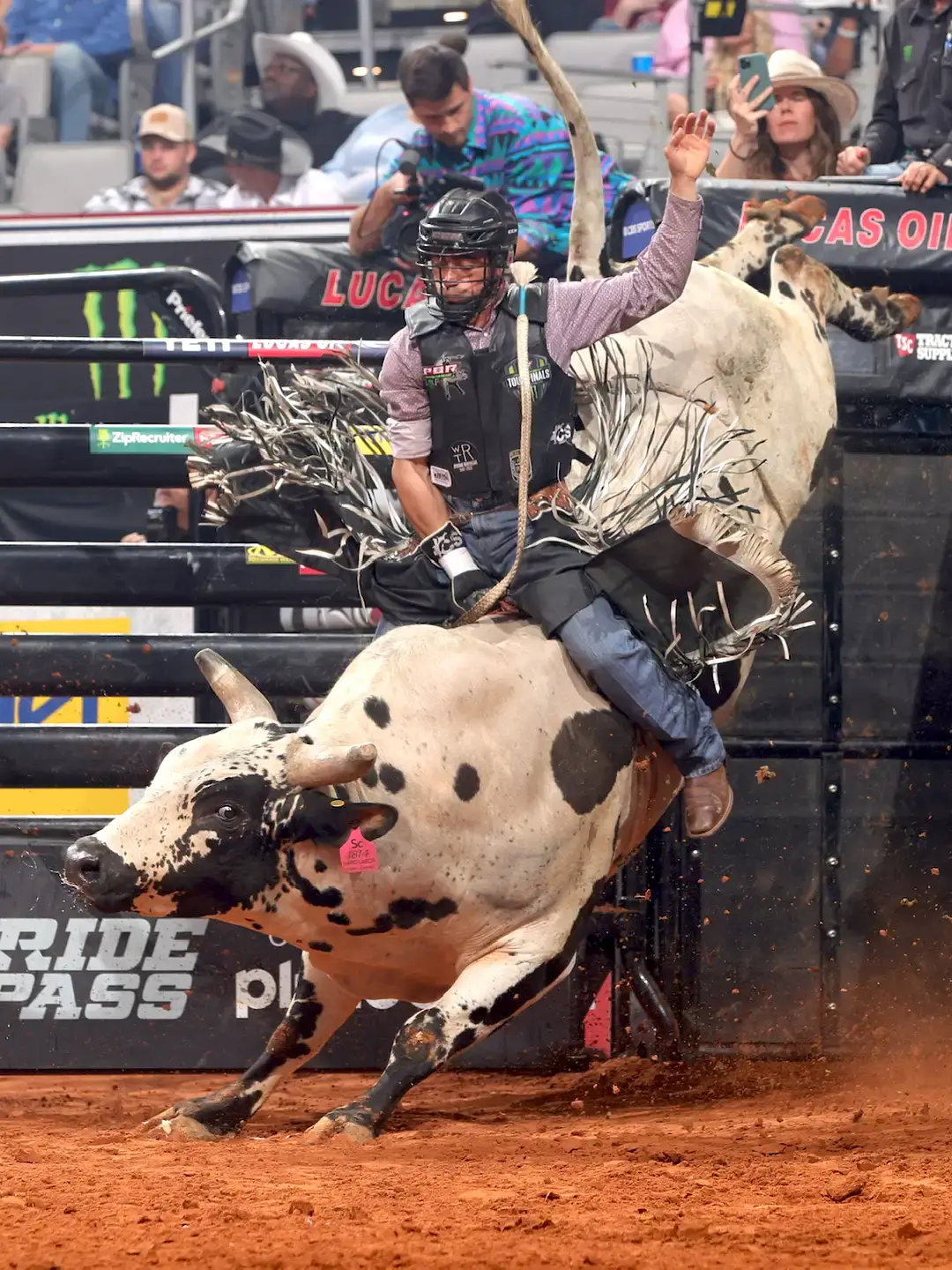 Bucking Bull "Hard Labor" in a show. Picture used by MagnaWavePEMF