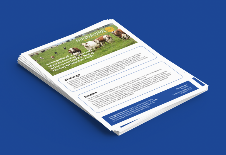 MagnaWavePEMF flyers about PEMF therapy applications, detailing a Challenge that needed to be overcome and the solution to how it was done.