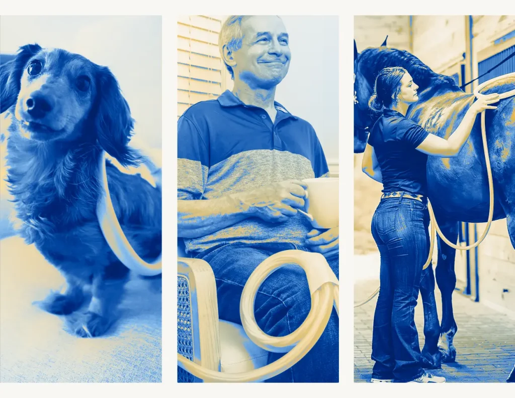 Three duotone photos in a row: a dachshund with a MagnaWave PEMF loop, an older man in a chair holding a loop, and a woman applying a loop to a horse in a stable