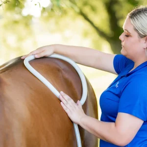 Large Loop - 12ft Lead