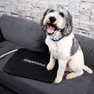 MagEnergy Mat - 12ft Lead