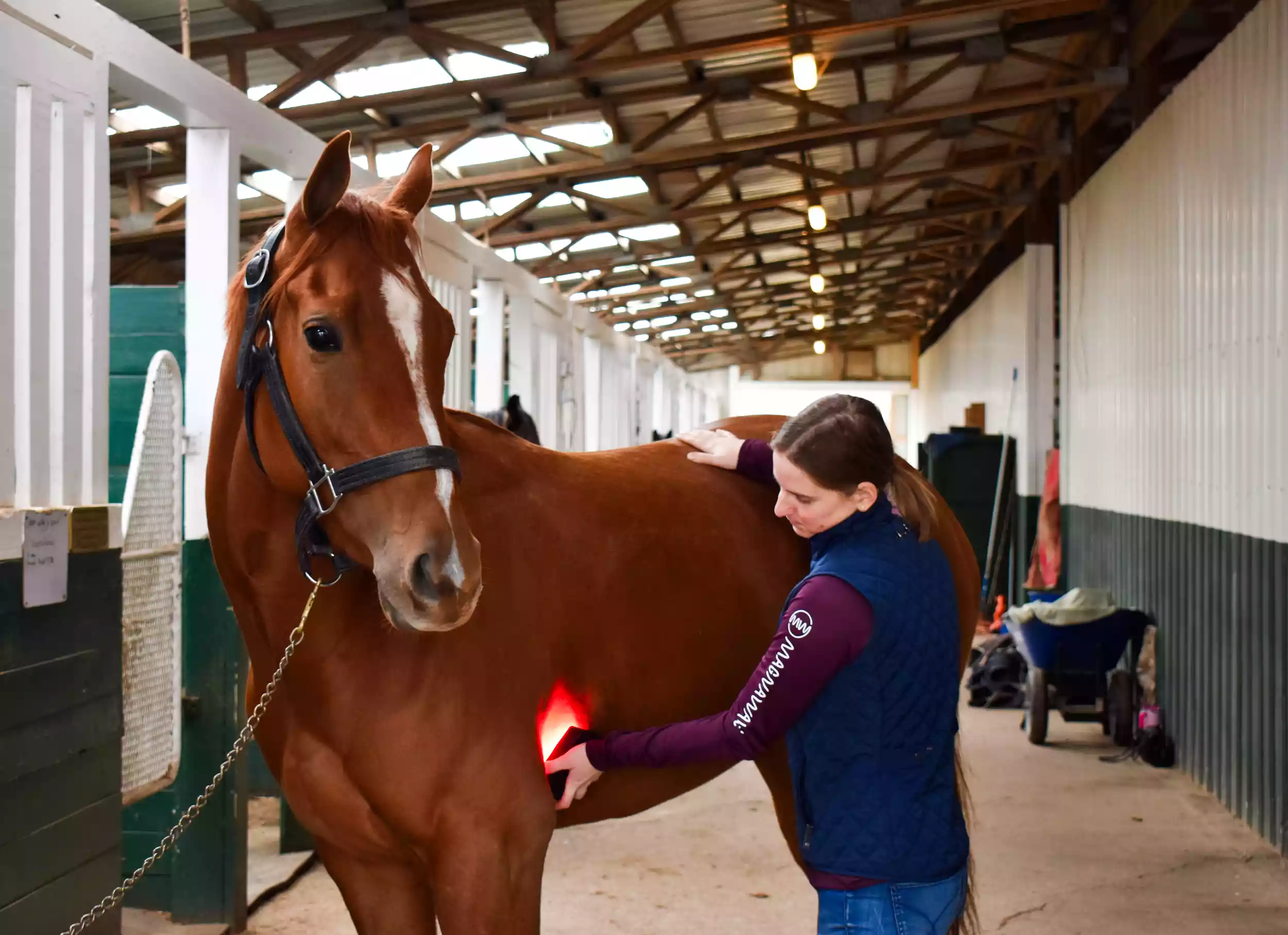 ROC Red Light - Image 5