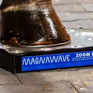Zoom Hoof Box