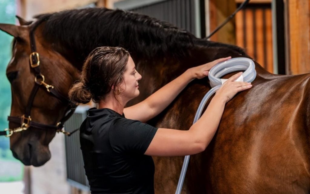 Woman in a black shirt positioning a MagnaWave PEMF loop on a horse's withers in a stable