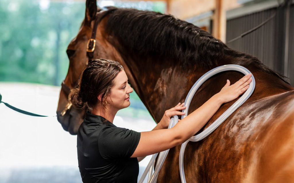 Woman in a black shirt positioning a MagnaWave PEMF loop near a horse's neck in a stable