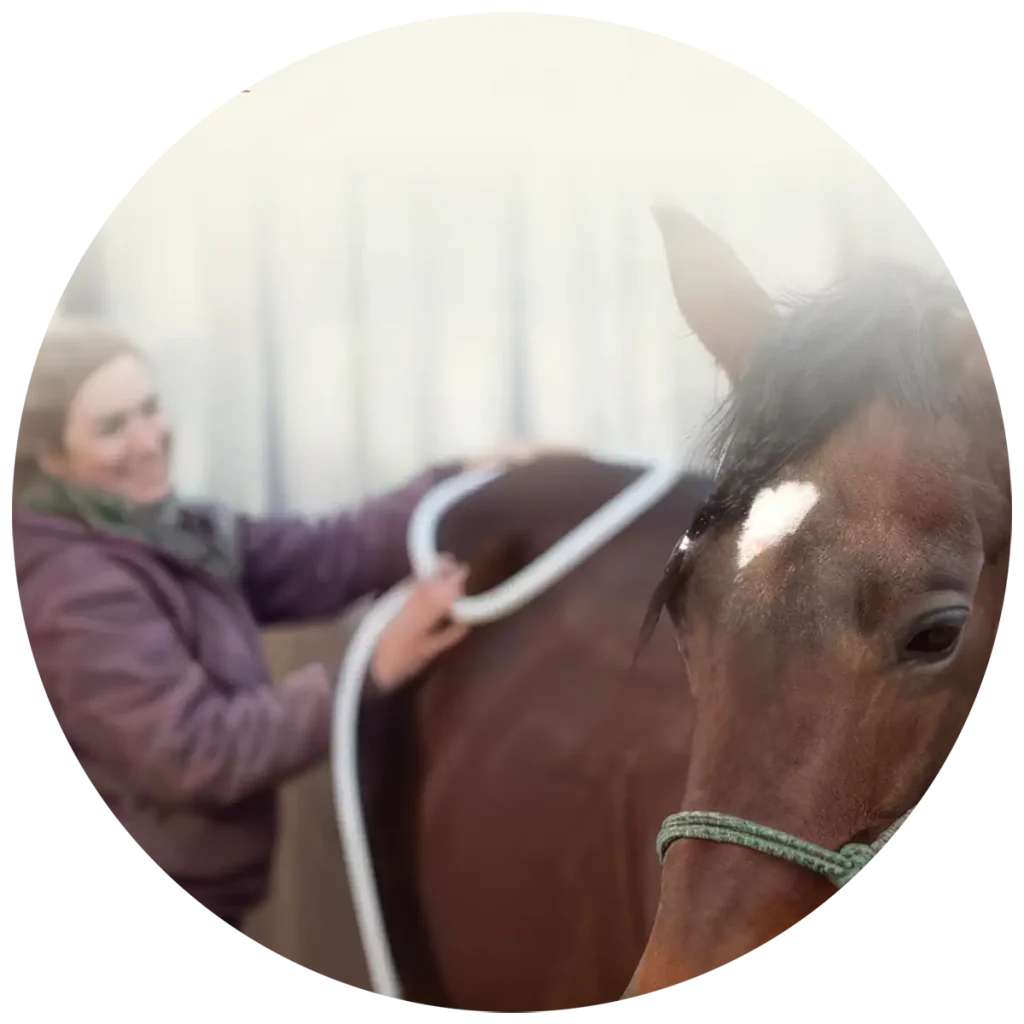 MagnaWave practitioner working with a horse during a client testimonial
