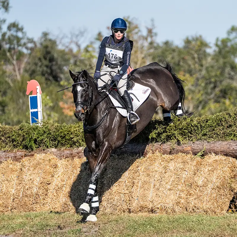 Horse jumping over a rail during a show event