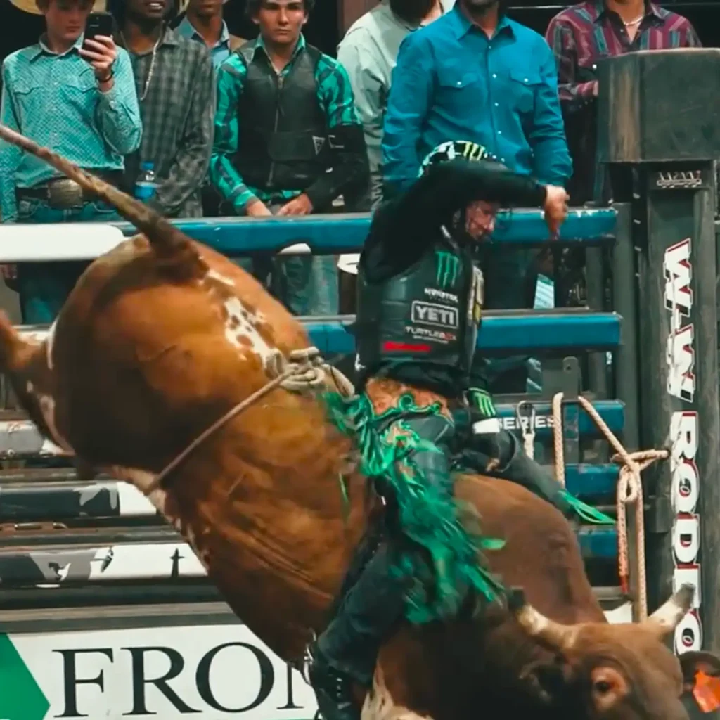 Rodeo competitor and horse in the arena