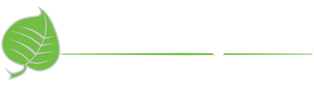 Silver Lining Herbs logo in white, with a leaf icon and the tagline "The Standard for a Healthy Life"