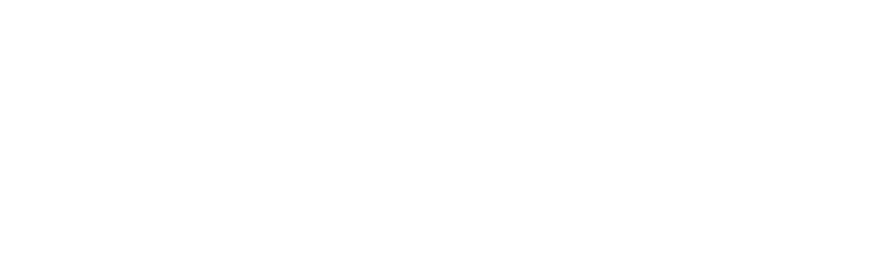 MagnaWave badge