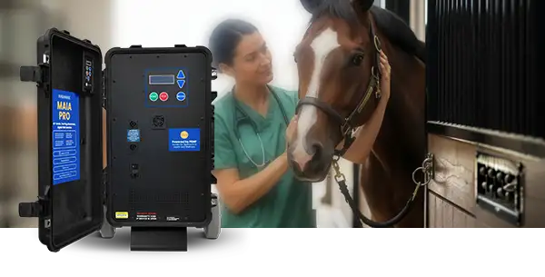 Veterinarian using the Maia Pro PEMF machine on a horse