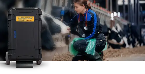 Maia Duo PEMF machine used with livestock