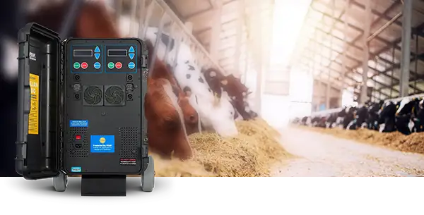 Julian Duo PEMF machine used with livestock