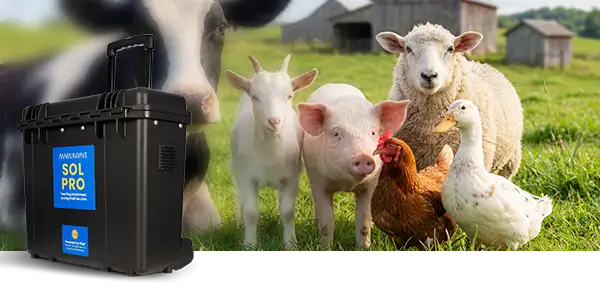 Sol Pro PEMF machine used with livestock