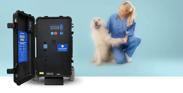 Maia Pro PEMF machine used with a pet